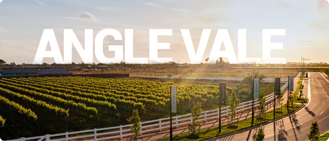 A scenic view of Angle Vale showing vineyards on the left and a road lined with trees and white fences on the right. The sun is setting, casting a warm glow over the landscape. Large text reading "ANGLE VALE" is overlaid on the image.