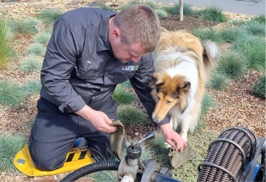 A man in a dark jumpsuit kneels on the grass, cleaning equipment with a cloth, while a collie dog stands beside him, looking attentively at his hands.