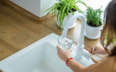 Adelaide Water Quality: What the 2026 PFAS Study Means for Local Homes